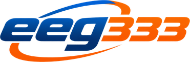 eeg333